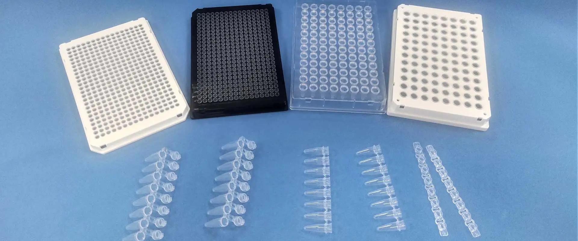 PCR 플레이트 & 튜브